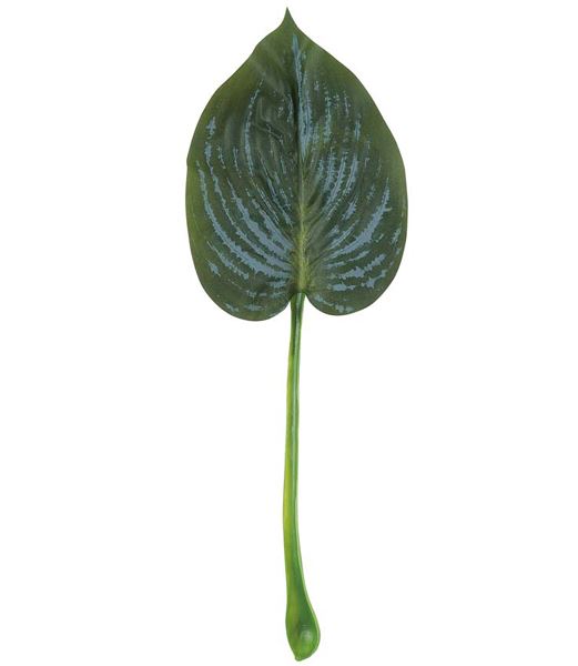45cm ギボウシリーフ [ONSLESP7672] |人工観葉植物 アートフラワー 造花 フラワー フェイクグリーン 資材 装飾 飾付 デコレーション 飾り イベント パーティー フラワーアレンジメント 花材 インテリア 店舗装飾 ディスプレイ 室内装飾 飾り付け ガーランド リーフ 葉