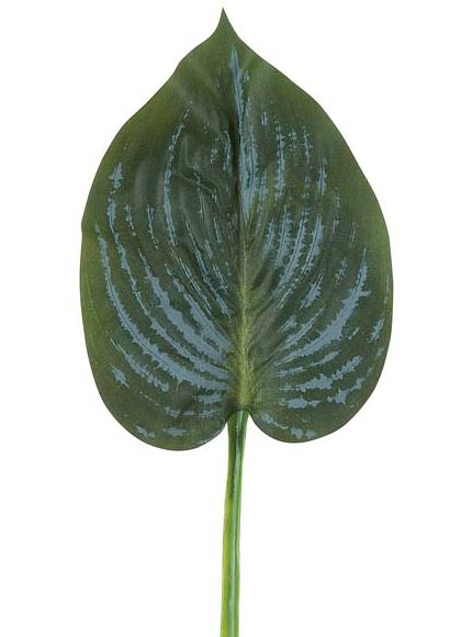 45cm ギボウシリーフ [ONSLESP7672] |人工観葉植物 アートフラワー 造花 フラワー フェイクグリーン 資材 装飾 飾付 デコレーション 飾り イベント パーティー フラワーアレンジメント 花材 インテリア 店舗装飾 ディスプレイ 室内装飾 飾り付け ガーランド リーフ 葉