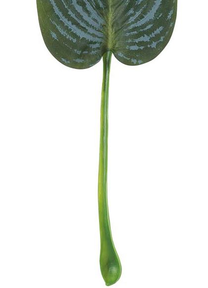 45cm ギボウシリーフ [ONSLESP7672] |人工観葉植物 アートフラワー 造花 フラワー フェイクグリーン 資材 装飾 飾付 デコレーション 飾り イベント パーティー フラワーアレンジメント 花材 インテリア 店舗装飾 ディスプレイ 室内装飾 飾り付け ガーランド リーフ 葉