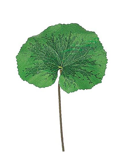 35cm ゲイラックスリーフ [ONSLESP3599] |人工観葉植物 アートフラワー 造花 フラワー フェイクグリーン 資材 装飾 飾付 デコレーション 飾り イベント パーティー フラワーアレンジメント 花材 インテリア 店舗装飾 ディスプレイ 室内装飾 飾り付け ガーランド リーフ 葉