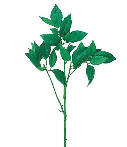 65cm ツバキリーフスプレイ [ONSLESP1650] |人工観葉植物 アートフラワー 造花 フラワー フェイクグリーン 資材 装飾 飾付 デコレーション 飾り イベント パーティー フラワーアレンジメント 花材 インテリア 店舗装飾 ディスプレイ 室内装飾 飾り付け ツバキリーフ スプレイ