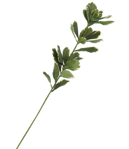 65cm マサキスプレイ [ONSLESP7671] |人工観葉植物 アートフラワー 造花 フラワー フェイクグリーン 資材 装飾 飾付 デコレーション 飾り イベント パーティー フラワーアレンジメント 花材 インテリア 店舗装飾 ディスプレイ 室内装飾 飾り付け マサキ スプレイ