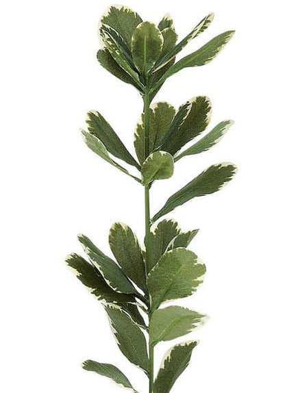 65cm マサキスプレイ [ONSLESP7671] |人工観葉植物 アートフラワー 造花 フラワー フェイクグリーン 資材 装飾 飾付 デコレーション 飾り イベント パーティー フラワーアレンジメント 花材 インテリア 店舗装飾 ディスプレイ 室内装飾 飾り付け マサキ スプレイ