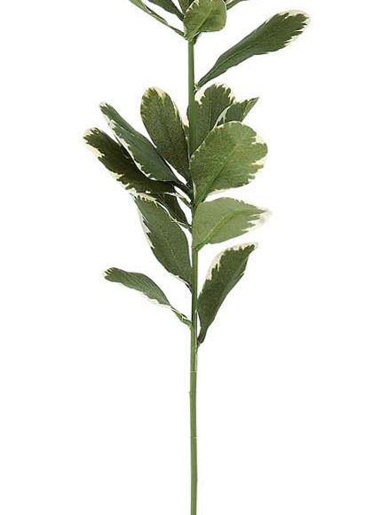 65cm マサキスプレイ [ONSLESP7671] |人工観葉植物 アートフラワー 造花 フラワー フェイクグリーン 資材 装飾 飾付 デコレーション 飾り イベント パーティー フラワーアレンジメント 花材 インテリア 店舗装飾 ディスプレイ 室内装飾 飾り付け マサキ スプレイ