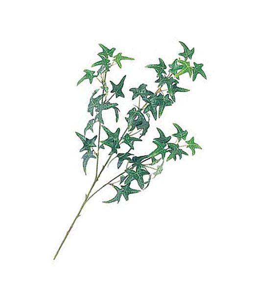 45cm スターアイビースプレイ(48)[ONSLESP7622]|人工観葉植物 アートフラワー 造花 フラワー フェイクグリーン 資材 装飾 飾付 デコレーション 飾り イベント パーティー フラワーアレンジメント 花材 インテリア 店舗装飾 ディスプレイ 室内装飾 飾り付け アイビー スプレイ