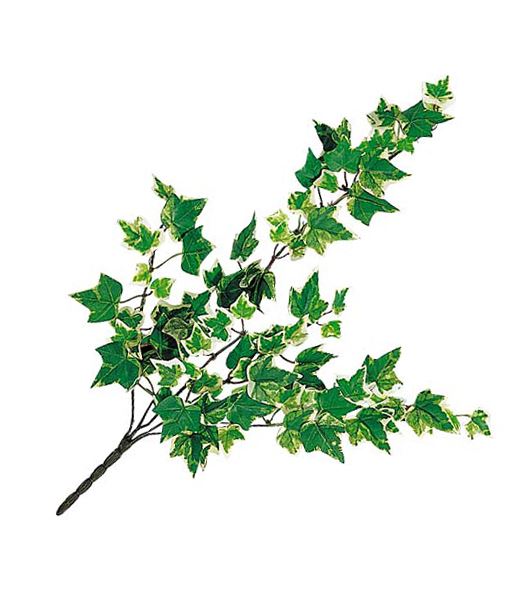 45cm ミニオランダアイビーバイン(96) [ONSLEVI7445] |人工観葉植物 造花 フラワー フェイクグリーン 資材 装飾 飾付 デコレーション 飾り イベント パーティー フラワーアレンジメント 花材 インテリア 店舗装飾 ディスプレイ 室内装飾 飾り付け ガーランド 鉢植え バイン