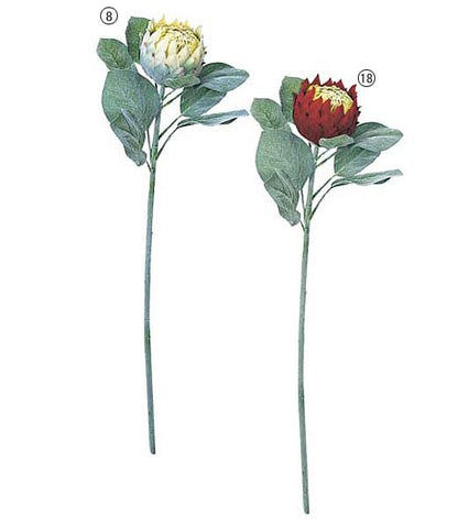 75cm プロテア [ONSFLSP3671] |人工観葉植物 アートフラワー 造花 フラワー フェイクグリーン 装飾 飾付 小物 デコレーション 飾り イベント パーティー フラワーアレンジメント 店舗装飾 グリーン バーガンディ 花材 手作り 材料 パーツ ディスプレイ 室内装飾 飾り付け