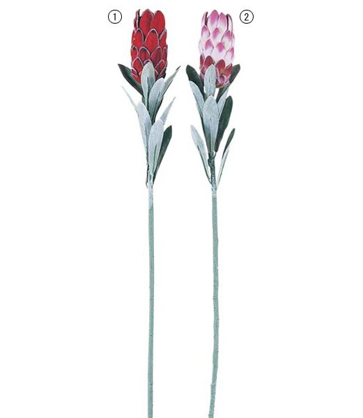 80cm プロテア [ONSFLSP3749] |人工観葉植物 アートフラワー 造花 フラワー フェイクグリーン 装飾 飾付 小物 デコレーション 飾り イベント パーティー フラワーアレンジメント 店舗装飾 レッド ピンク 花材 手作り 材料 パーツ ディスプレイ 室内装飾 飾り付け