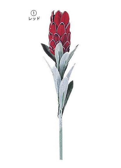 80cm プロテア [ONSFLSP3749] |人工観葉植物 アートフラワー 造花 フラワー フェイクグリーン 装飾 飾付 小物 デコレーション 飾り イベント パーティー フラワーアレンジメント 店舗装飾 レッド ピンク 花材 手作り 材料 パーツ ディスプレイ 室内装飾 飾り付け