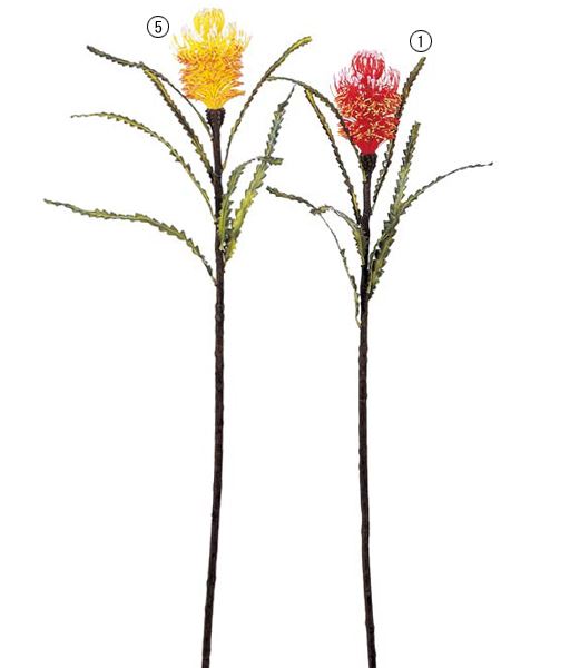 110cm バンクシア [ONSFLSP3700] |人工観葉植物 アートフラワー 造花 フラワー フェイクグリーン 装飾 飾付 小物 デコレーション 飾り イベント パーティー フラワーアレンジメント 店舗装飾 レッド イエロー 花材 手作り 材料 パーツ ディスプレイ 室内装飾 飾り付け
