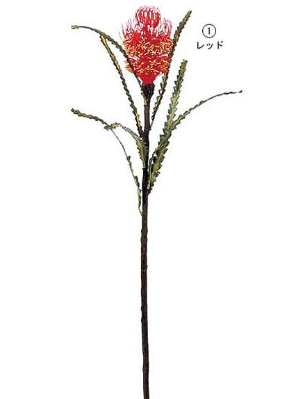 110cm バンクシア [ONSFLSP3700] |人工観葉植物 アートフラワー 造花 フラワー フェイクグリーン 装飾 飾付 小物 デコレーション 飾り イベント パーティー フラワーアレンジメント 店舗装飾 レッド イエロー 花材 手作り 材料 パーツ ディスプレイ 室内装飾 飾り付け