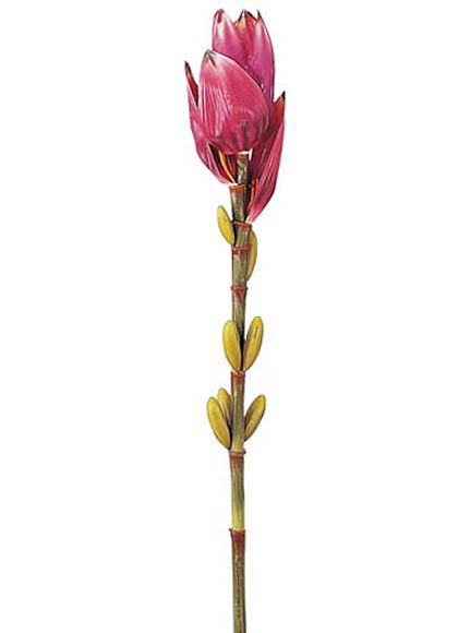 95cm バナナフラワー [ONSFLSP3695] |人工観葉植物 アートフラワー 造花 フラワー フェイクグリーン 装飾 飾付 小物 デコレーション 飾り イベント パーティー フラワーアレンジメント 店舗装飾 花材 手作り 材料 パーツ ディスプレイ 室内装飾 飾り付け