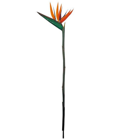 90cm ストレリチア [ONSFLSP3291] |人工観葉植物 アートフラワー 造花 フラワー フェイクグリーン 装飾 飾付 小物 デコレーション 飾り イベント パーティー フラワーアレンジメント 店舗装飾 花材 手作り 材料 パーツ ディスプレイ 室内装飾 飾り付け