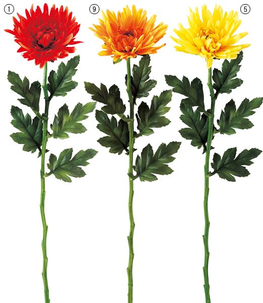 60cm コーディアルマム [ONSFLSP5875] |人工観葉植物 アーティシャルフラワー 造花 フラワー フェイクグリーン 装飾 飾付 小物 デコレーション 飾り イベント パーティー フラワーアレンジメント 店舗装飾 コーディアル マム 洋菊 菊 ディスプレイ 室内装飾 飾り付け