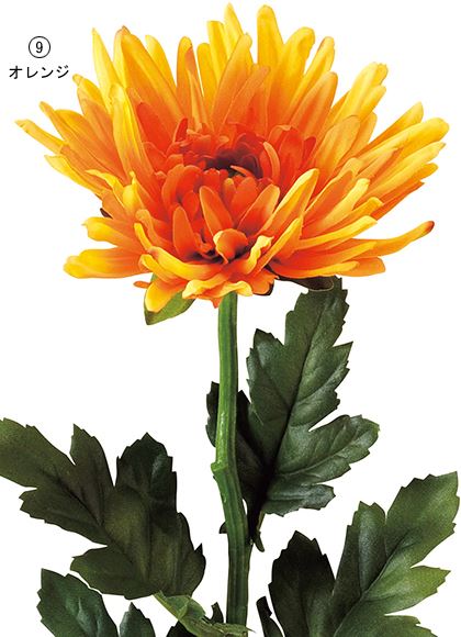 60cm コーディアルマム [ONSFLSP5875] |人工観葉植物 アーティシャルフラワー 造花 フラワー フェイクグリーン 装飾 飾付 小物 デコレーション 飾り イベント パーティー フラワーアレンジメント 店舗装飾 コーディアル マム 洋菊 菊 ディスプレイ 室内装飾 飾り付け