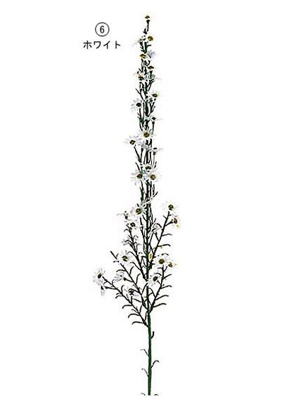 65cm クジャクソウ [ONSFLSP7276] |人工観葉植物 アートフラワー 造花 フラワー フェイクグリーン 装飾 飾付 小物 デコレーション 飾り イベント パーティー フラワーアレンジメント 店舗装飾 孔雀草 花材 手作り 材料 パーツ ディスプレイ 室内装飾 飾り付け