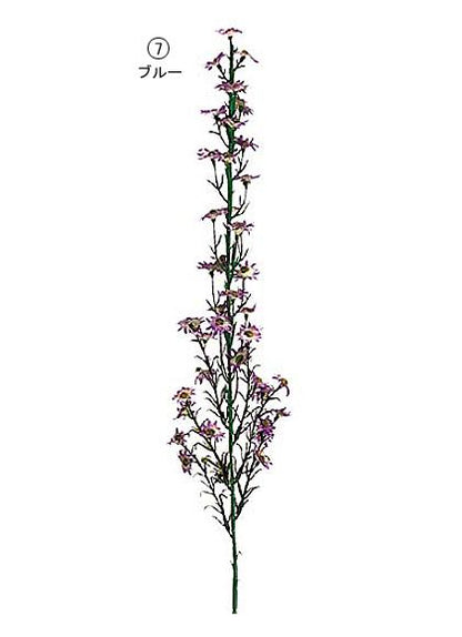 65cm クジャクソウ [ONSFLSP7276] |人工観葉植物 アートフラワー 造花 フラワー フェイクグリーン 装飾 飾付 小物 デコレーション 飾り イベント パーティー フラワーアレンジメント 店舗装飾 孔雀草 花材 手作り 材料 パーツ ディスプレイ 室内装飾 飾り付け