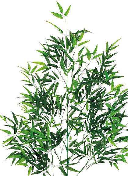 210cm 七夕用竹(2分割式) 光触媒スプレープレゼント [ONSLETR3646] 代引決済不可 送料無料 |造花 フラワー フェイク 人工観葉植物 装飾 デコレーション 飾り イベント パーティー フラワーアレンジメント 店舗装飾 フェイクグリーン ツリー ディスプレイ 飾り付け 七夕 タケ
