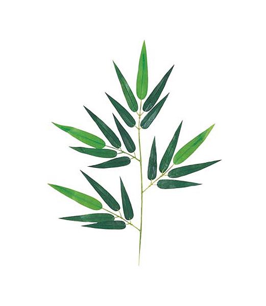 45cm タケスプレイ(20) [ONSLESP7623] |造花 フラワー フェイク 人工観葉植物 リーフ 装飾 デコレーション 飾り イベント パーティー フラワーアレンジメント 店舗装飾 フェイクグリーン 鉢植え タケ スプレイ ピック ディスプレイ 飾り付け インテリア おしゃれ 竹 たけ