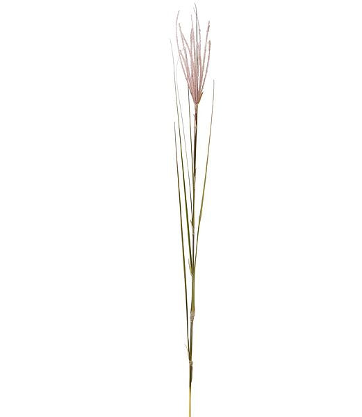 90cm ススキスプレイ [ONSLESP5669] |人工観葉植物 アートフラワー 造花 フラワー フェイクグリーン 資材 装飾 飾付 デコレーション 飾り イベント パーティー フラワーアレンジメント 花材 インテリア 店舗装飾 ディスプレイ 室内装飾 飾り付け 秋 ススキ スプレイ すすき