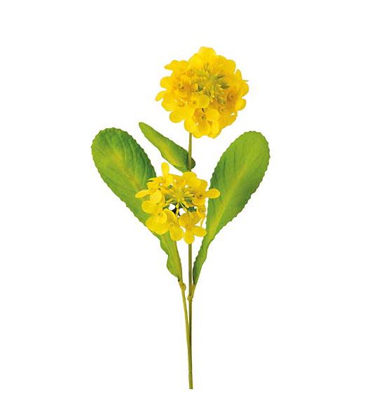 50cm 菜の花(2/3) [ONSFLSP1784] |人工観葉植物 アートフラワー 造花 フラワー フェイクグリーン 装飾 飾付 小物 デコレーション 飾り イベント パーティー フラワーアレンジメント 店舗装飾 花材 手作り 材料 パーツ ディスプレイ 室内装飾 飾り付け 春