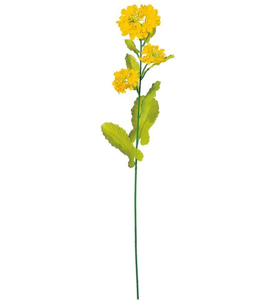70cm ナノハナ(3) [ONSFLSP1306] |人工観葉植物 アートフラワー 造花 フラワー フェイクグリーン 装飾 飾付 小物 デコレーション 飾り イベント パーティー フラワーアレンジメント 店舗装飾 花材 手作り 材料 パーツ ディスプレイ 室内装飾 飾り付け 春
