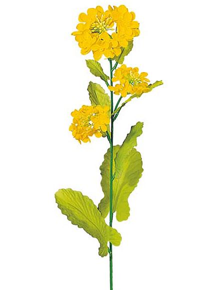 70cm ナノハナ(3) [ONSFLSP1306] |人工観葉植物 アートフラワー 造花 フラワー フェイクグリーン 装飾 飾付 小物 デコレーション 飾り イベント パーティー フラワーアレンジメント 店舗装飾 花材 手作り 材料 パーツ ディスプレイ 室内装飾 飾り付け 春