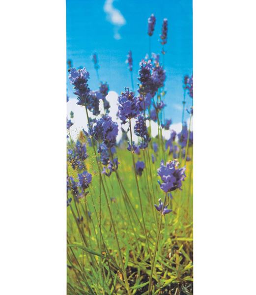180cm ラベンダーユーロバナー [ONSDITA3889] 送料無料 |人工観葉植物 造花 フェイク 資材 装飾 飾付 小物 デコレーション 飾り イベント パーティー アレンジメント 店舗装飾 ディスプレイ 室内装飾 飾り付け 壁掛け 絵 写真 バックスクリーン ポスター 背景 タペストリー