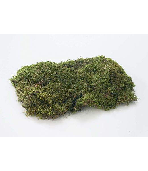 ※色がグリーンじゃないため倉庫※シートモス小（150g入り） [ONSDO61091] |人工観葉植物 アートフラワー 造花 フェイクグリーン 装飾 飾付 小物 デコレーション 飾り イベント パーティー 店舗装飾 ベース ポット シートモス グリーン 天然素材 フラワー資材