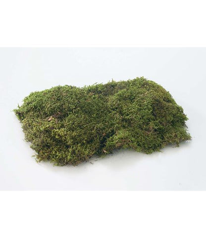 ※色がグリーンじゃないため倉庫※シートモス小（150g入り） [ONSDO61091] |人工観葉植物 アートフラワー 造花 フェイクグリーン 装飾 飾付 小物 デコレーション 飾り イベント パーティー 店舗装飾 ベース ポット シートモス グリーン 天然素材 フラワー資材