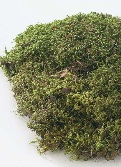 ※色がグリーンじゃないため倉庫※シートモス小（150g入り） [ONSDO61091] |人工観葉植物 アートフラワー 造花 フェイクグリーン 装飾 飾付 小物 デコレーション 飾り イベント パーティー 店舗装飾 ベース ポット シートモス グリーン 天然素材 フラワー資材