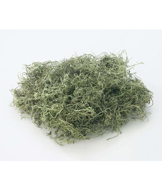 スパニッシュモス小袋（50g入り） [ONSDO61061] |人工観葉植物 アートフラワー 造花 フェイクグリーン 装飾 飾付 資材 小物 デコレーション 飾り イベント パーティー 店舗装飾 ベース ポット スパニッシュモス グリーン 天然素材 フラワー資材 フラワーアレンジメント