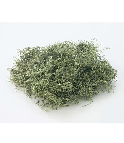 スパニッシュモス小袋（50g入り） [ONSDO61061] |人工観葉植物 アートフラワー 造花 フェイクグリーン 装飾 飾付 資材 小物 デコレーション 飾り イベント パーティー 店舗装飾 ベース ポット スパニッシュモス グリーン 天然素材 フラワー資材 フラワーアレンジメント