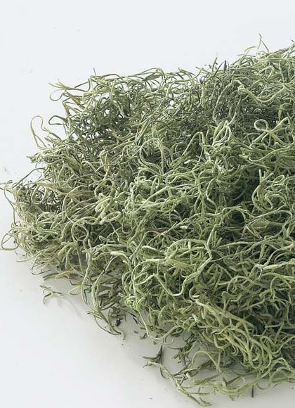 スパニッシュモス小袋（50g入り） [ONSDO61061] |人工観葉植物 アートフラワー 造花 フェイクグリーン 装飾 飾付 資材 小物 デコレーション 飾り イベント パーティー 店舗装飾 ベース ポット スパニッシュモス グリーン 天然素材 フラワー資材 フラワーアレンジメント