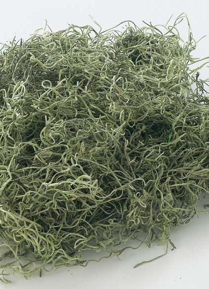 スパニッシュモス小袋（50g入り） [ONSDO61061] |人工観葉植物 アートフラワー 造花 フェイクグリーン 装飾 飾付 資材 小物 デコレーション 飾り イベント パーティー 店舗装飾 ベース ポット スパニッシュモス グリーン 天然素材 フラワー資材 フラワーアレンジメント