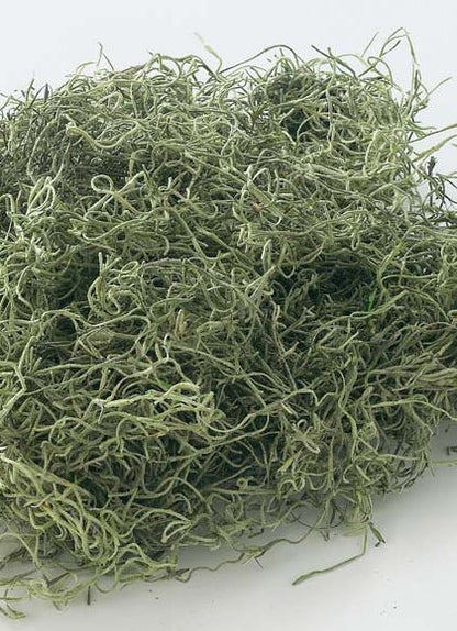 スパニッシュモス小袋（50g入り） [ONSDO61061] |人工観葉植物 アートフラワー 造花 フェイクグリーン 装飾 飾付 資材 小物 デコレーション 飾り イベント パーティー 店舗装飾 ベース ポット スパニッシュモス グリーン 天然素材 フラワー資材 フラワーアレンジメント
