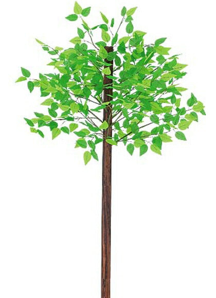 210cm 新緑の木(スタンド付き)[ONSDEDE1967] 代引決済不可 送料無料 |人工観葉植物 造花 フェイク 装飾 飾付 小物 雑貨 販売 デコレーション 飾り イベント パーティー フラワーアレンジメント インテリア 店舗装飾 花材 資材 ディスプレイ 飾り付け 置物 春 スプリング 新緑