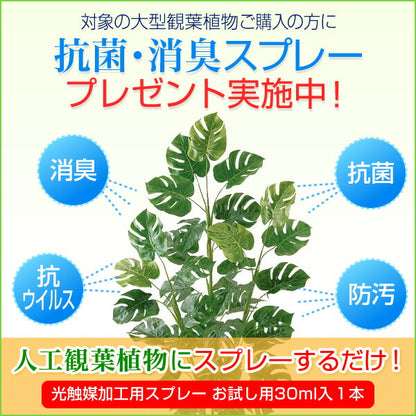 240cm 竹大枝(ナチュラルトランク)[ONSLETR7645] 光触媒スプレープレゼント 代引決済不可 送料無料 |人工観葉植物 フェイクグリーン 造花 装飾 飾り付け 店舗装飾 ディスプレイ 室内装飾 インテリア 大型 七夕 祭り イベント 竹 タケ