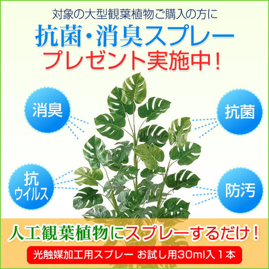 70cm サガーロカクタス [ONSLETR7668] 光触媒スプレープレゼント 代引決済不可 送料無料 |人工観葉植物 フェイクグリーン 造花 装飾 飾り付け 店舗装飾 ディスプレイ 室内装飾 インテリア 大型 サボテン シャボテン
