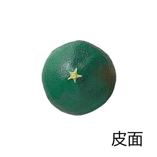 70mm ライムハーフ [ONSDIFV7954] |食品サンプル フェイクフード 装飾 ディスプレイ デコレーション 飾り付け 店舗装飾 サンプル 作り物 レプリカ イベント テーブルコーディネート 雑貨 フルーツ 果物 ライム