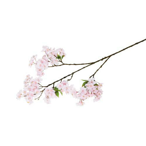 90cm 桜(120) [ONSFLSP1940] |人工観葉植物 アートフラワー 造花 フラワー フェイクグリーン 装飾 飾付 小物 デコレーション 飾り イベント パーティー フラワーアレンジメント 店舗装飾 桜 さくら サクラ 枝 花材 材料 パーツ ディスプレイ 室内装飾 飾り付け 春