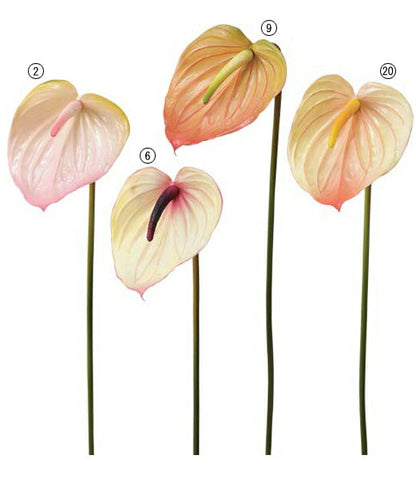 75cm アンスリウム [ONSFLSP3883] |人工観葉植物 アートフラワー 造花 フラワー フェイクグリーン 装飾 飾付 小物 デコレーション 飾り イベント パーティー フラワーアレンジメント 店舗装飾 アンスリウム ディスプレイ 室内装飾 飾り付け