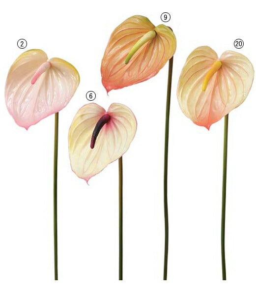 75cm アンスリウム [ONSFLSP3883] |人工観葉植物 アートフラワー 造花 フラワー フェイクグリーン 装飾 飾付 小物 デコレーション 飾り イベント パーティー フラワーアレンジメント 店舗装飾 アンスリウム ディスプレイ 室内装飾 飾り付け