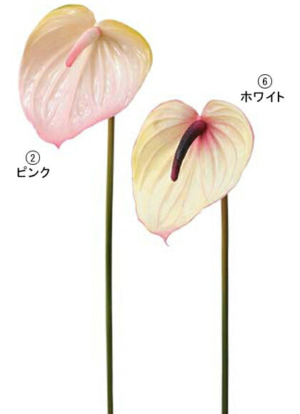 75cm アンスリウム [ONSFLSP3883] |人工観葉植物 アートフラワー 造花 フラワー フェイクグリーン 装飾 飾付 小物 デコレーション 飾り イベント パーティー フラワーアレンジメント 店舗装飾 アンスリウム ディスプレイ 室内装飾 飾り付け