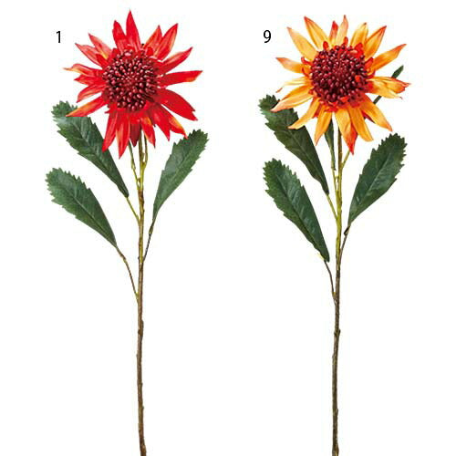 70cm キングプロテア [ONSFLSP3918] |人工観葉植物 アートフラワー 造花 フラワー フェイクグリーン 装飾 飾付 小物 デコレーション 飾り イベント パーティー フラワーアレンジメント 店舗装飾 プロテア 花材 手作り 材料 パーツ ディスプレイ 室内装飾 飾り付け