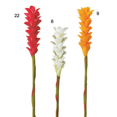 70cm ジンジャー(1) [ONSFLSP3923] |人工観葉植物 アートフラワー 造花 フラワー フェイクグリーン 装飾 飾付 小物 デコレーション 飾り イベント パーティー フラワーアレンジメント 店舗装飾 ホワイト オレンジ ビューティ ディスプレイ 室内装飾 飾り付け