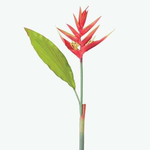 90cm ヘリコニア(1) [ONSFLSP3931] |人工観葉植物 アートフラワー 造花 フラワー フェイクグリーン 装飾 飾付 小物 デコレーション 飾り イベント パーティー フラワーアレンジメント 店舗装飾 花材 手作り 材料 パーツ ディスプレイ 室内装飾 飾り付け