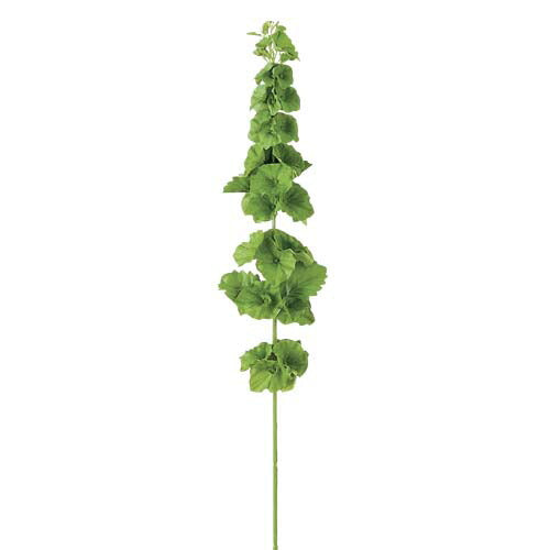 80cm ベルオブアイルランド(45) [ONSFLSP7925] |人工観葉植物 アートフラワー 造花 フラワー フェイクグリーン 資材 装飾 飾付 デコレーション 飾り イベント パーティー フラワーアレンジメント 花材 インテリア 店舗装飾 ディスプレイ 室内装飾 飾り付け 枝