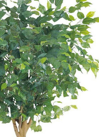 人工観葉植物 大型150cm ラウンドフィカスツリー(ナチュラルトランク) 光触媒スプレープレゼント [ONSLETR7640] 代引決済不可 送料無料 | 観葉植物 　アートフラワー 造花 フェイクグリーン 植木 装飾 飾付 店舗装飾 ディスプレイ 飾り付け インテリア