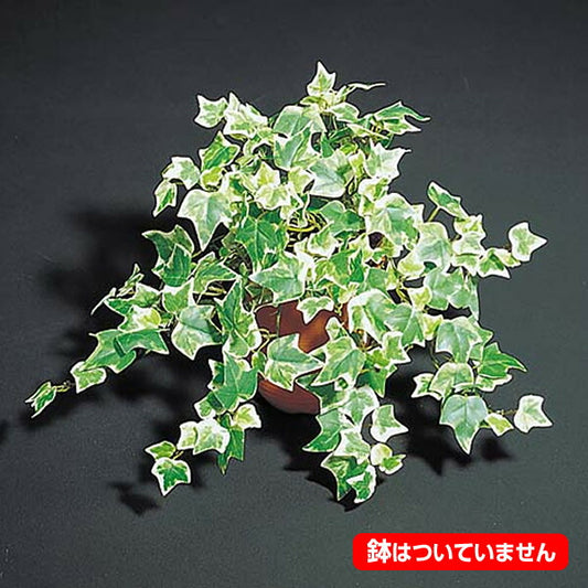 35cm ミニオランダアイビーブッシュ(231) [ONSLEBU7443] |造花 フラワー フェイク 人工観葉植物 リーフ 装飾 デコレーション 飾り イベント パーティー フラワーアレンジメント 店舗装飾 フェイクグリーン ガーランド ディスプレイ 飾り付け インテリア おしゃれ 鉢花 鉢植え